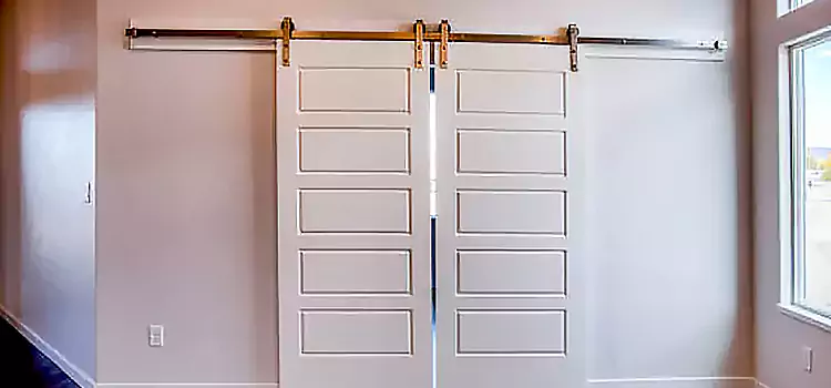 Glass Barn Door with Installation Hardware Kit Waterloo